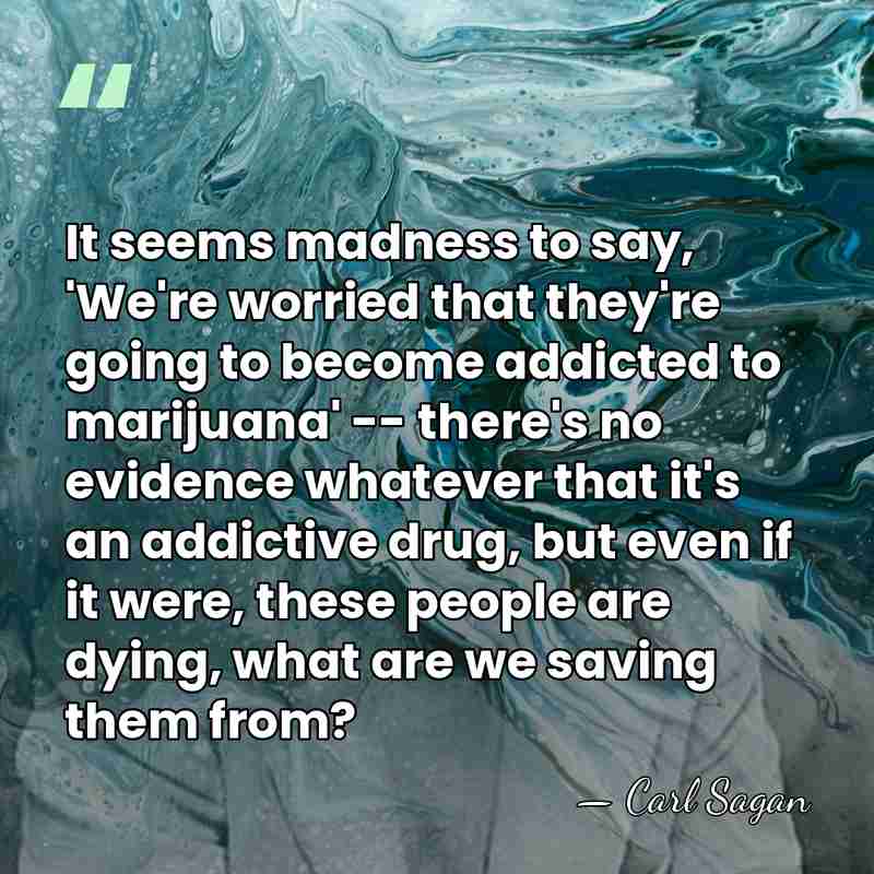 It seems madness to say, 'We're worried that they're going to become&hellip; - Carl Sagan