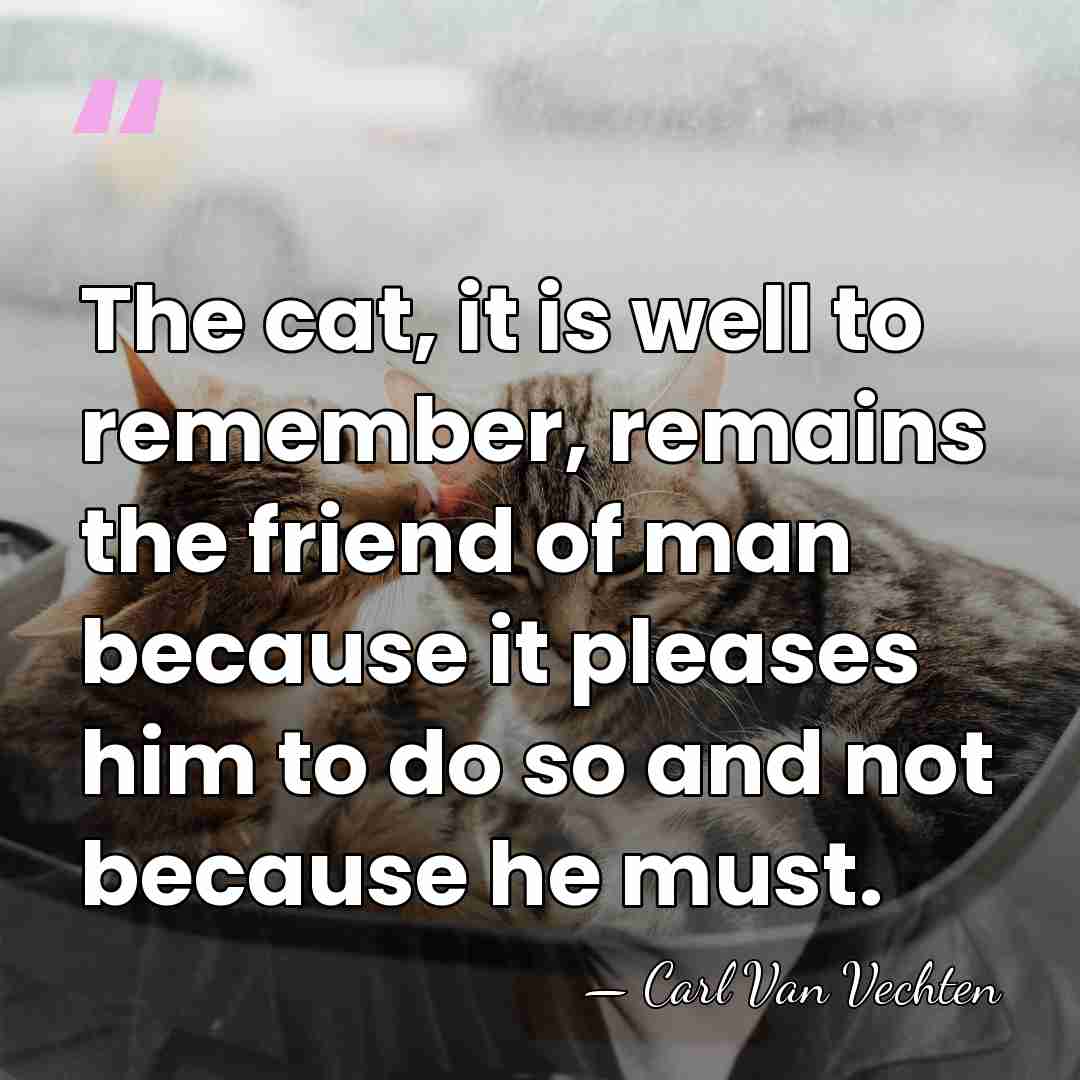 The cat, it is well to remember, remains the friend of man&hellip; - Carl Van Vechten