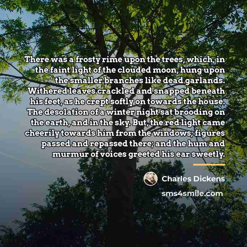 “There was a frosty rime upon the trees, which, in…” quote by Charles Dickens