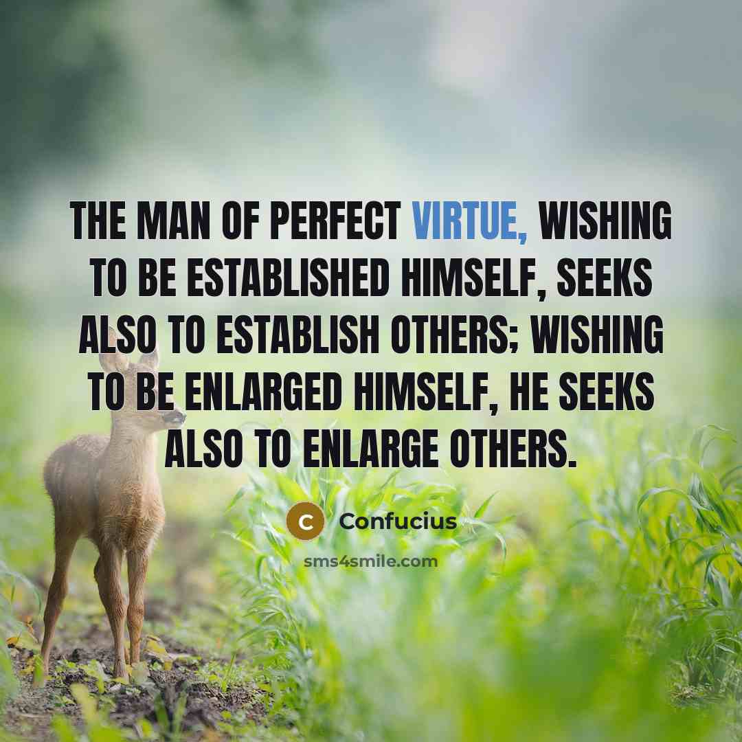 “The man of perfect virtue, wishing to be established himself,…” quote by Confucius
