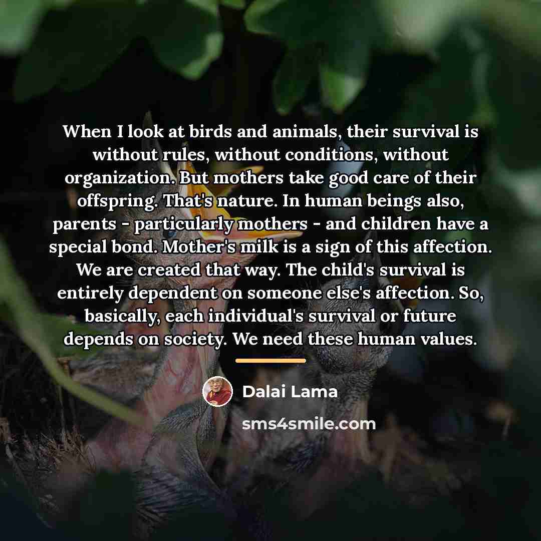 “When I look at birds and animals, their survival is…” quote by Dalai Lama