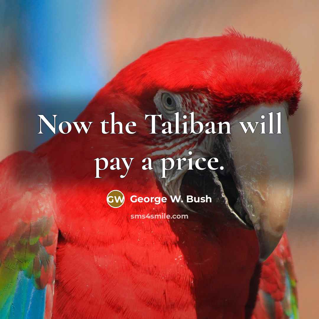 “Now the Taliban will pay a price.…” quote by George W. Bush