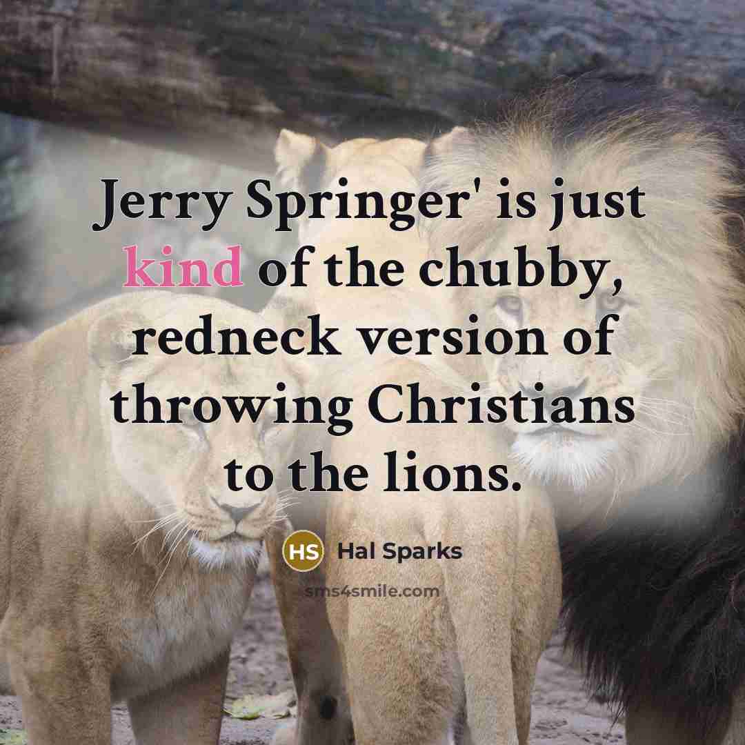 “Jerry Springer' is just kind of the chubby, redneck version…” quote by Hal Sparks