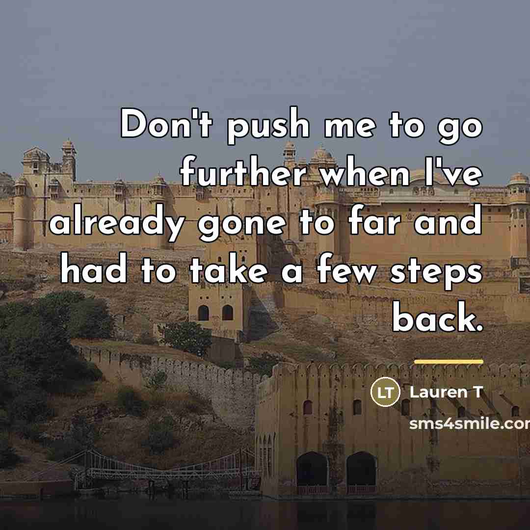 “Don't push me to go further when I've already gone…” quote by Lauren T