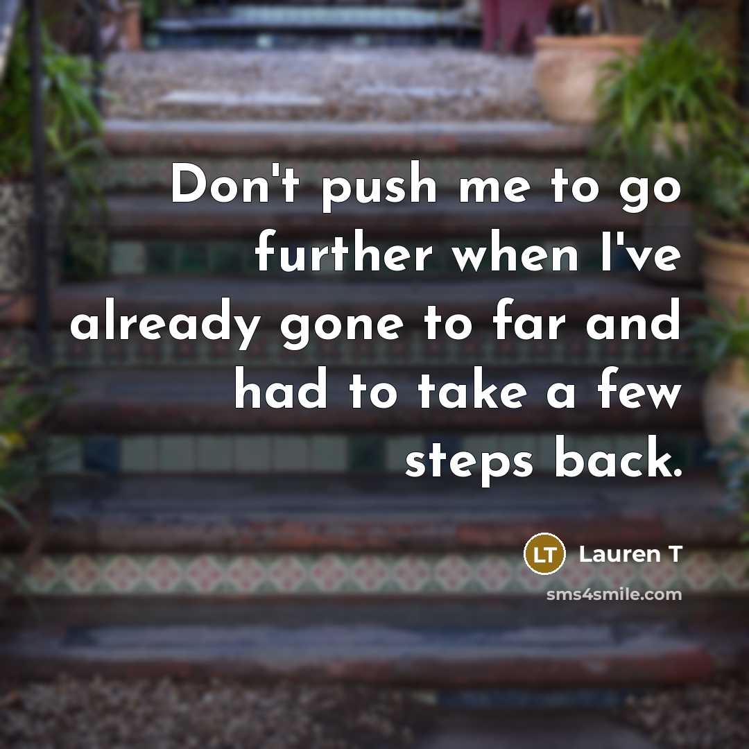 “Don't push me to go further when I've already gone to far and had to take a few steps back.” quote by Lauren T