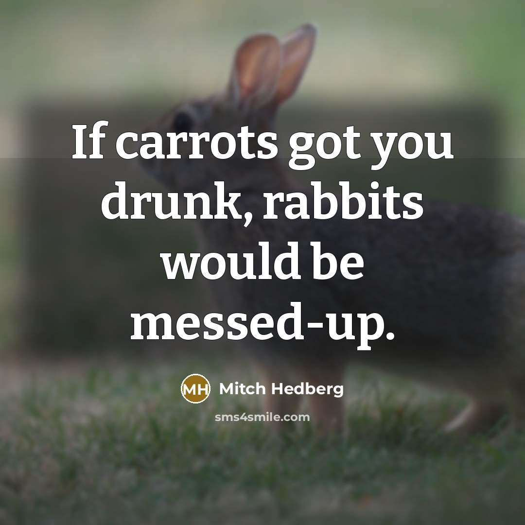 “If carrots got you drunk, rabbits would be messed-up.…” quote by Mitch Hedberg