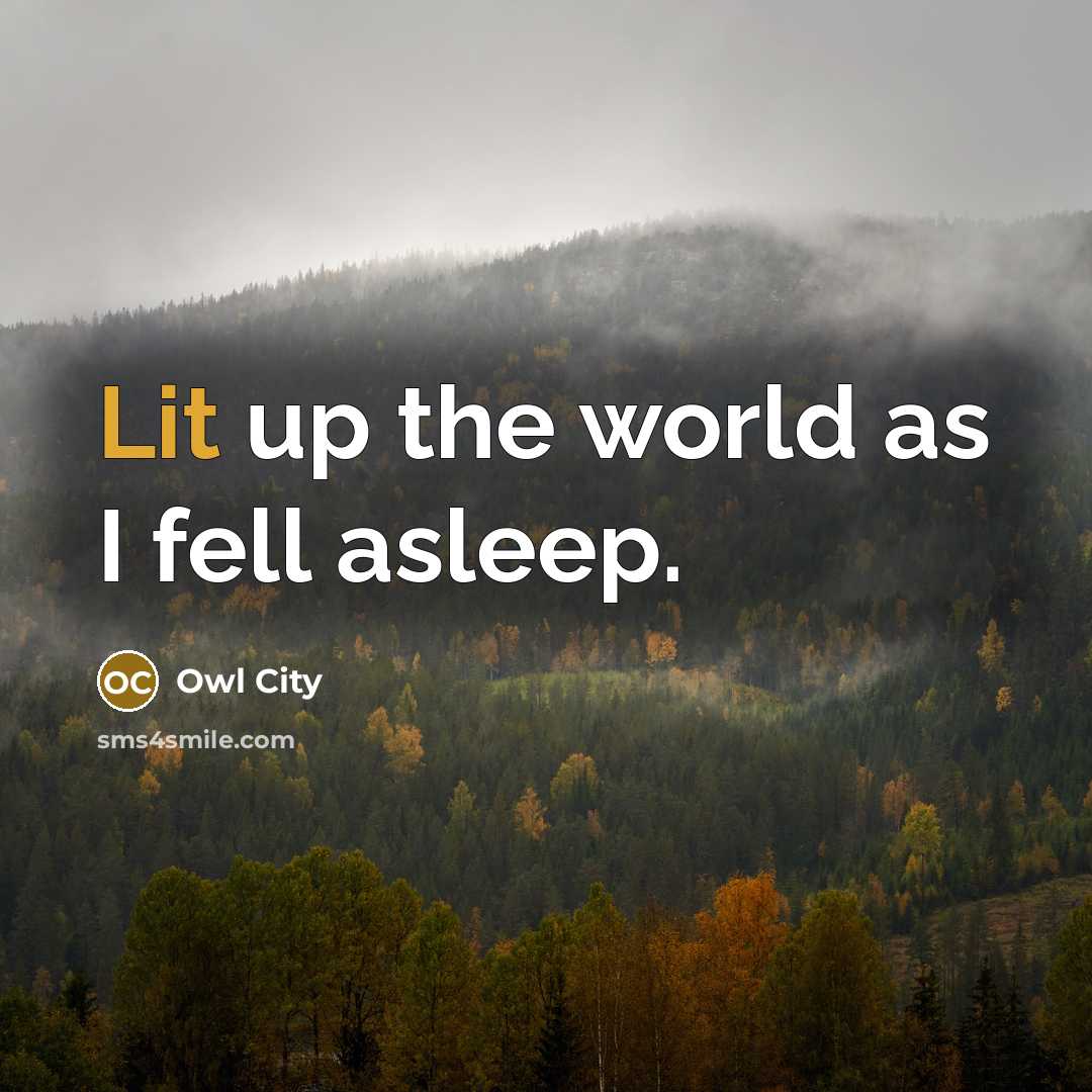 “Lit up the world as I fell asleep.” quote by Owl City
