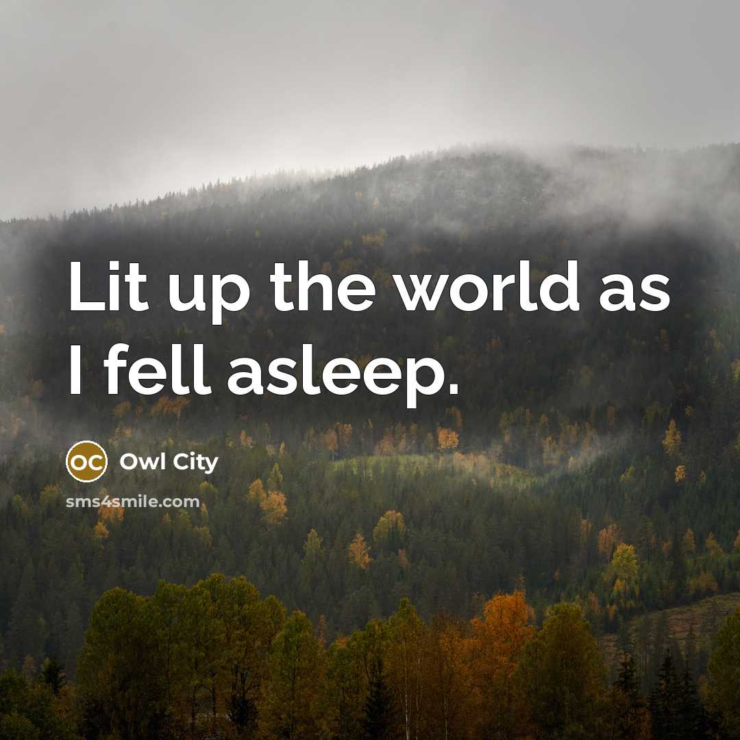 “Lit up the world as I fell asleep.…” quote by Owl City