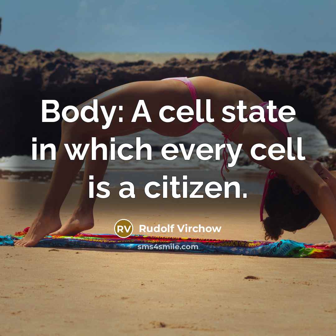 “Body: A cell state in which every cell is a…” quote by Rudolf Virchow