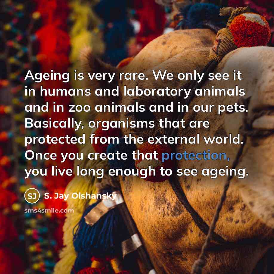 “Ageing is very rare. We only see it in humans…” quote by S. Jay Olshansky