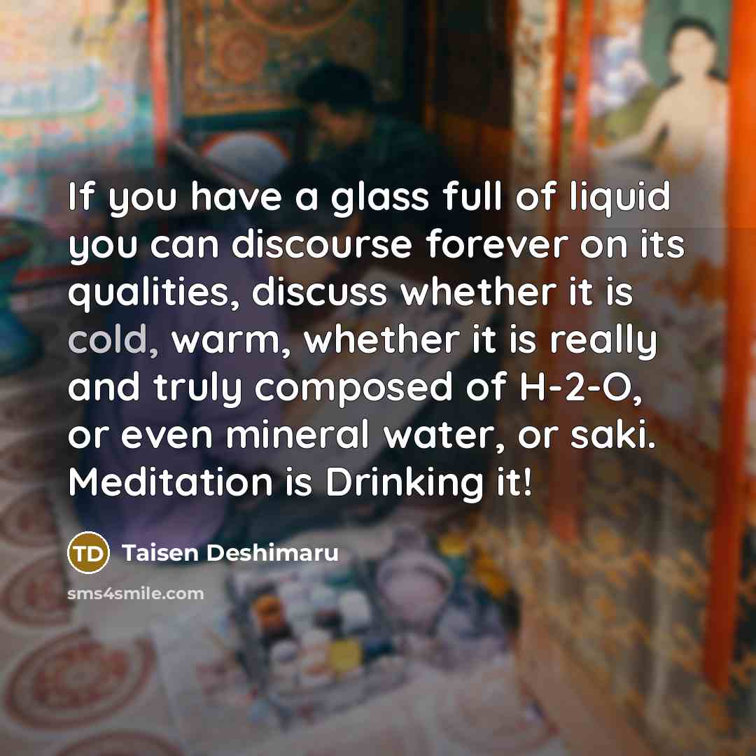 “If you have a glass full of liquid you can…” quote by Taisen Deshimaru