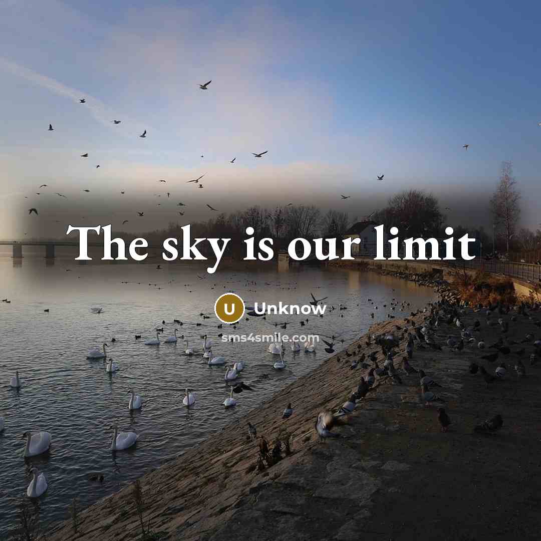 “The sky is our limit” quote by Unknow