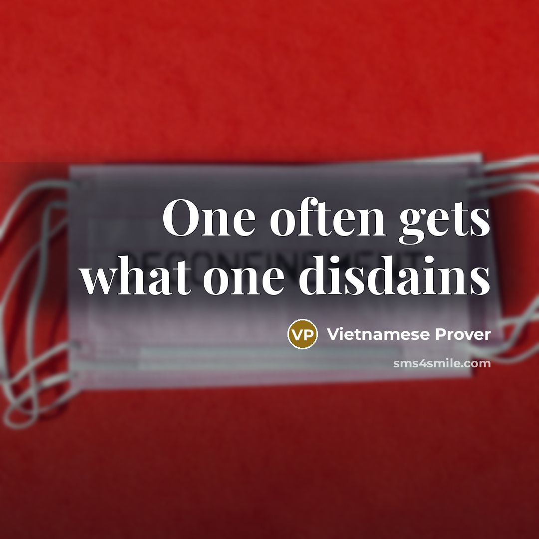 “One often gets what one disdains” quote by Vietnamese Prover