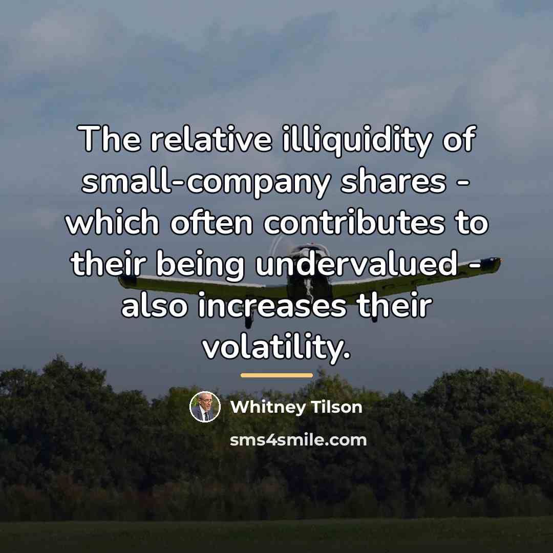 “The relative illiquidity of small-company shares - which often contributes…” quote by Whitney Tilson