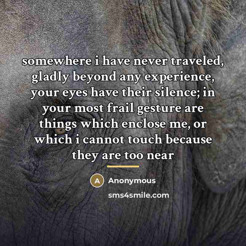 “somewhere i have never traveled, gladly beyond any experience, your…” quote by Anonymous