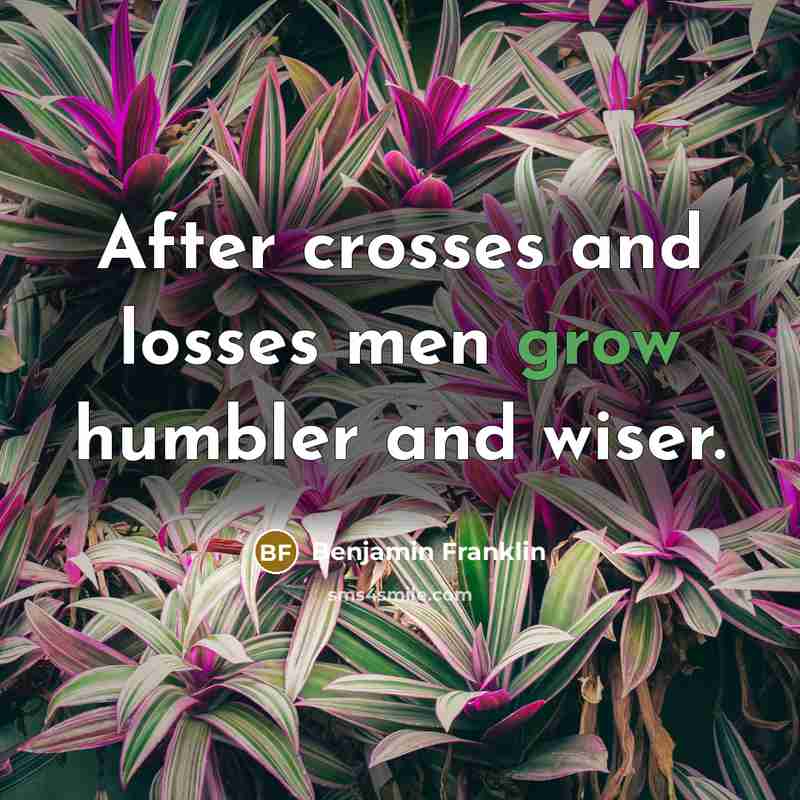 “After crosses and losses men grow humbler and wiser.…” quote by Benjamin Franklin