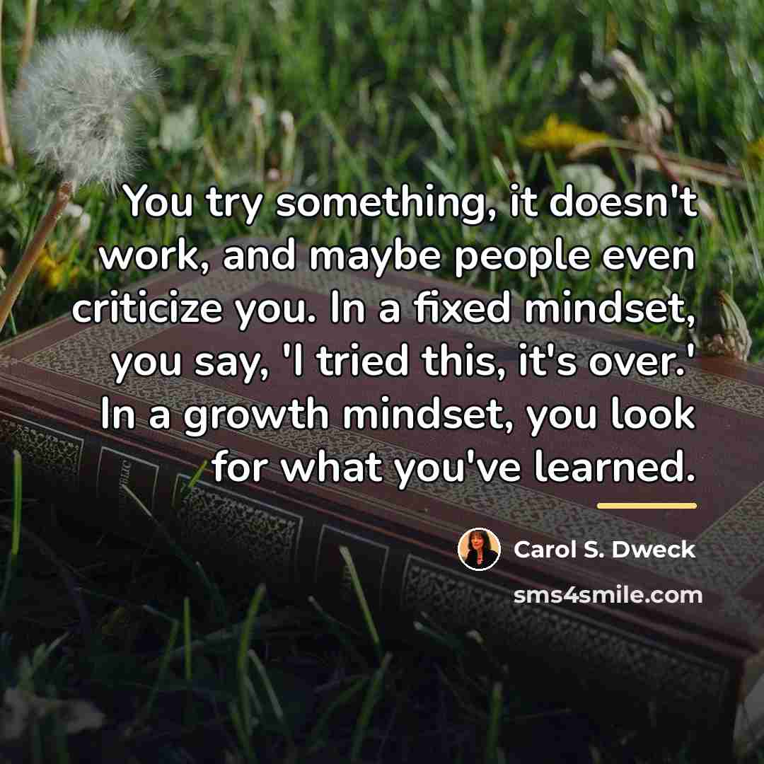 “You try something, it doesn't work, and maybe people even…” quote by Carol S. Dweck