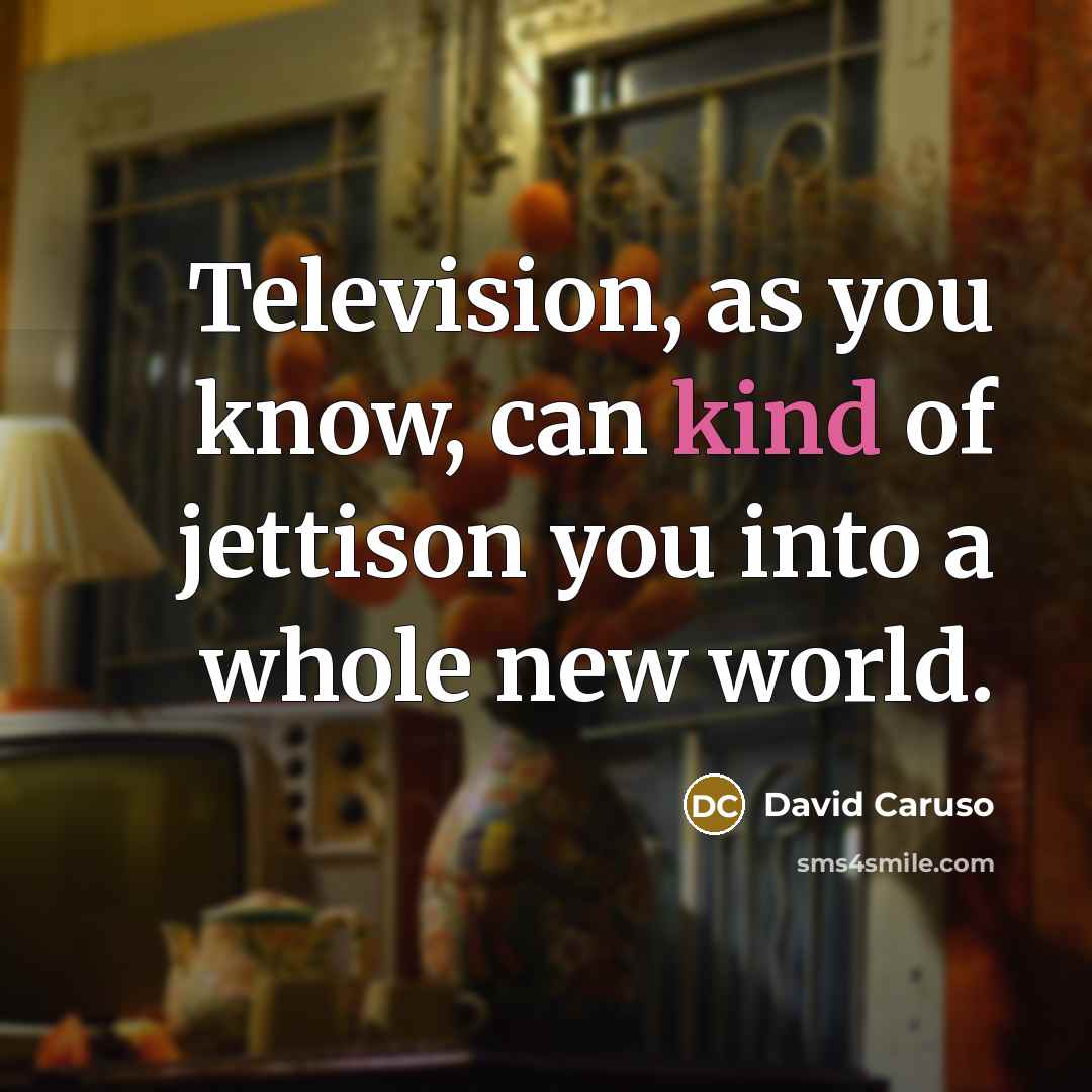 “Television, as you know, can kind of jettison you into…” quote by David Caruso