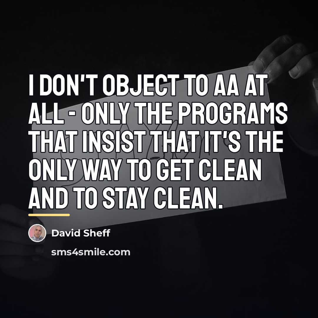 “I don't object to AA at all - only the…” quote by David Sheff