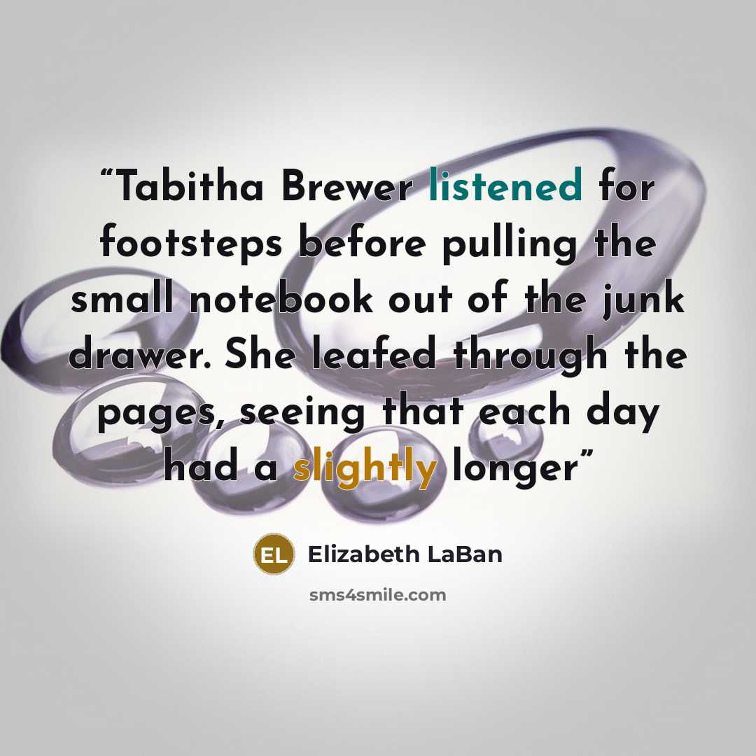 “Tabitha Brewer listened for footsteps before pulling the small notebook out of the junk drawer. She leafed through the pages, seeing that each day had a slightly longer” quote by Elizabeth LaBan