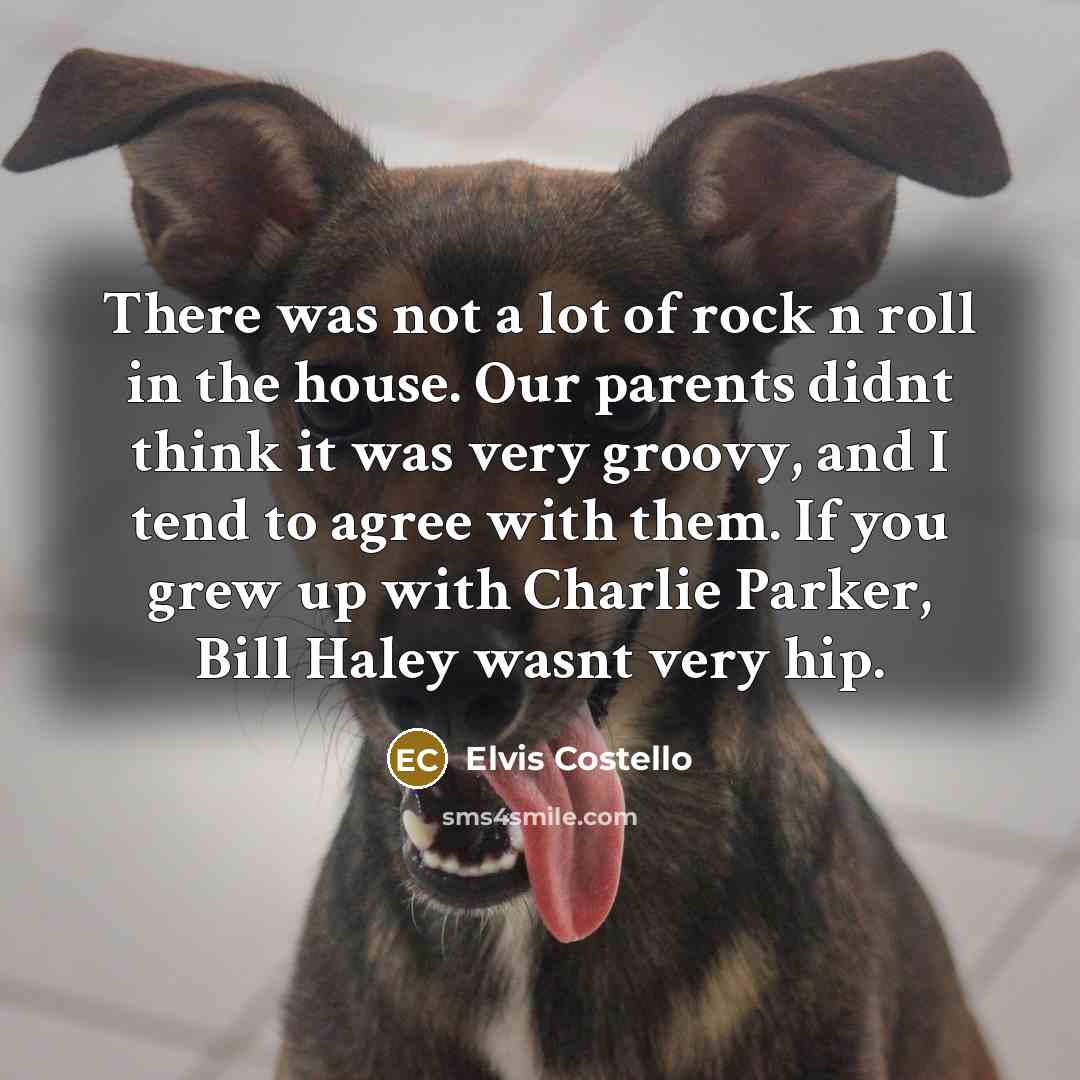 “There was not a lot of rock n roll in…” quote by Elvis Costello