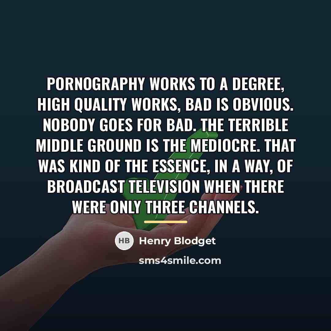 “Pornography works to a degree, high quality works, bad is…” quote by Henry Blodget