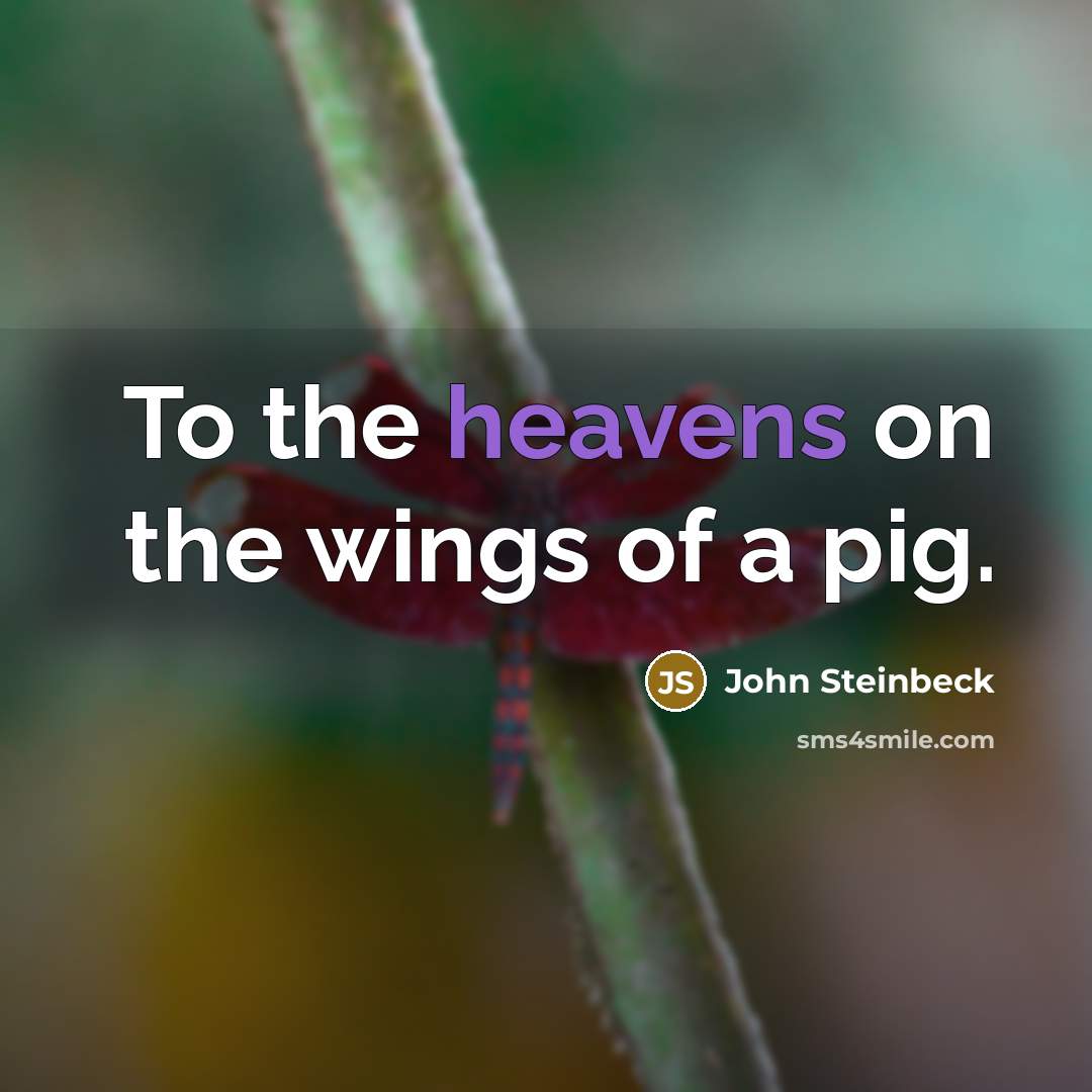 “To the heavens on the wings of a pig.…” quote by John Steinbeck