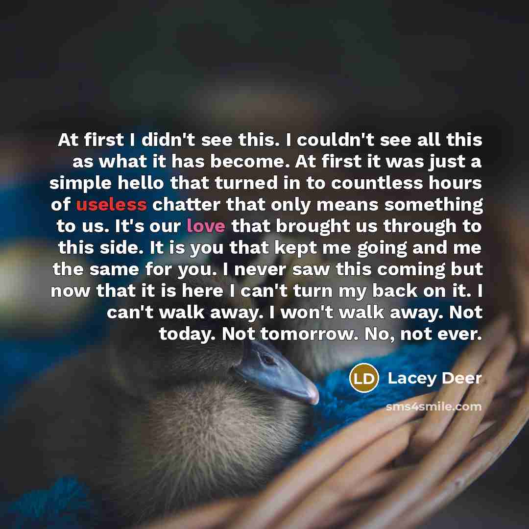“At first I didn't see this. I couldn't see all this as what it has become. At first it was just a simple hello that turned in to countless hours of useless chatter that only means something to us. It's our love that brought us through to this side. It is you that kept me going and me the same for…” quote by Lacey Deer