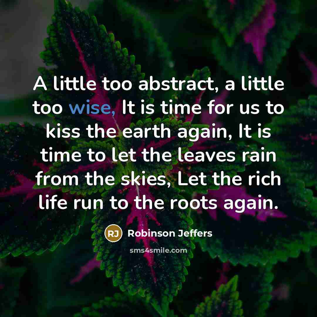 “A little too abstract, a little too wise, It is…” quote by Robinson Jeffers