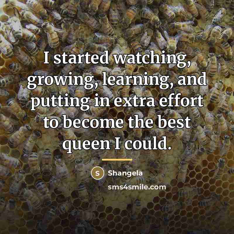 “I started watching, growing, learning, and putting in extra effort…” quote by Shangela