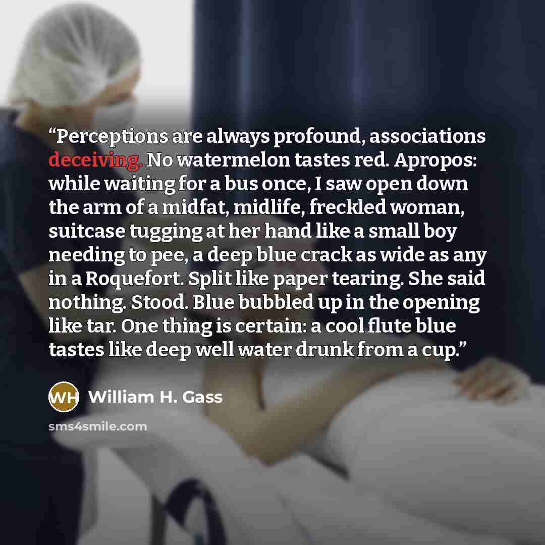 “Perceptions are always profound, associations deceiving. No watermelon tastes red. Apropos: while waiting for a bus once, I saw open down the arm of a midfat, midlife, freckled woman, suitcase tugging at her hand like a small boy needing to pee, a deep blue crack as wide as any in a Roquefort…” quote by William H. Gass