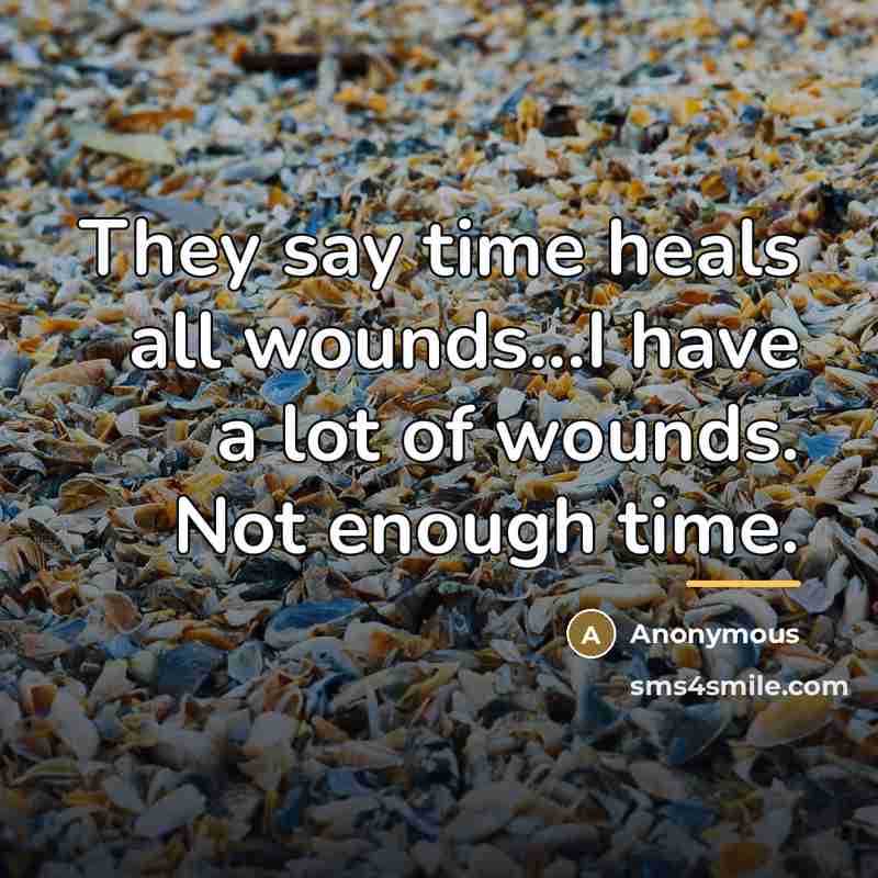 “They say time heals all wounds...I have a lot of…” quote by Anonymous