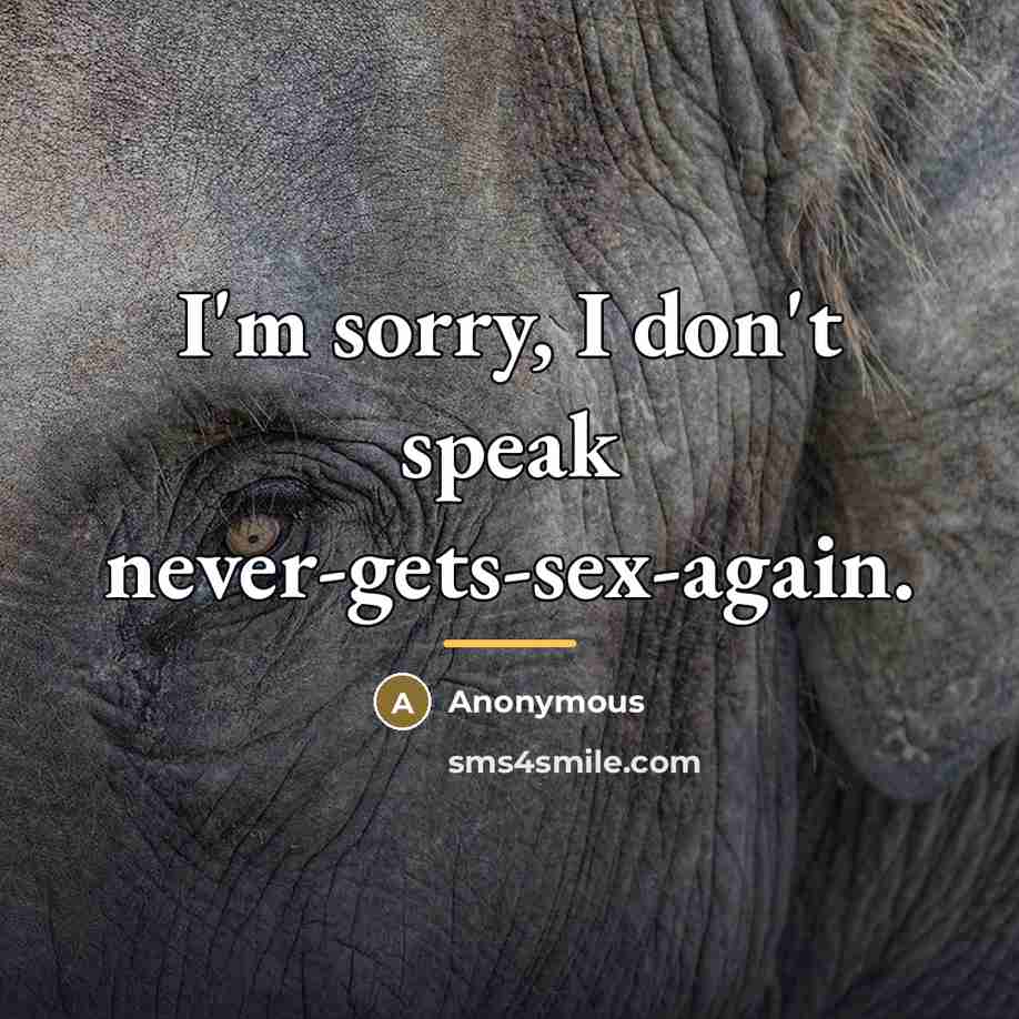 “I'm sorry, I don't speak never-gets-sex-again.…” quote by Anonymous