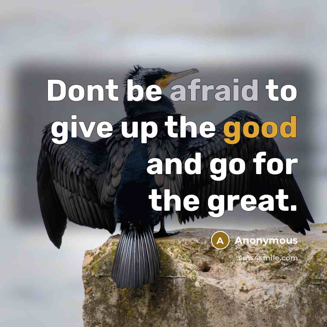 “Dont be afraid to give up the good and go…” quote by Anonymous