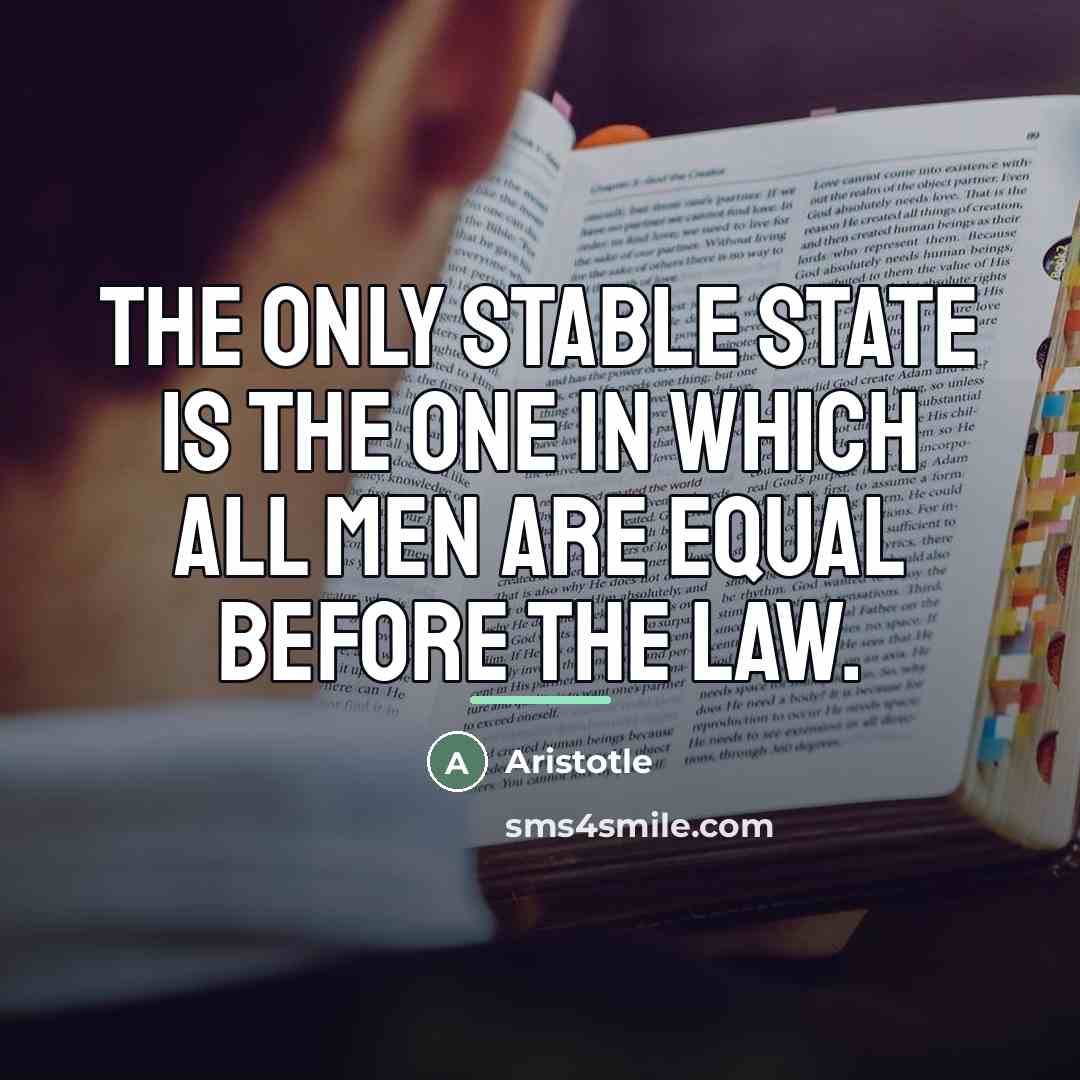 “The only stable state is the one in which all…” quote by Aristotle