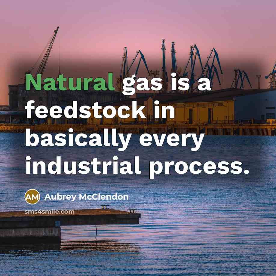 “Natural gas is a feedstock in basically every industrial process.…” quote by Aubrey McClendon