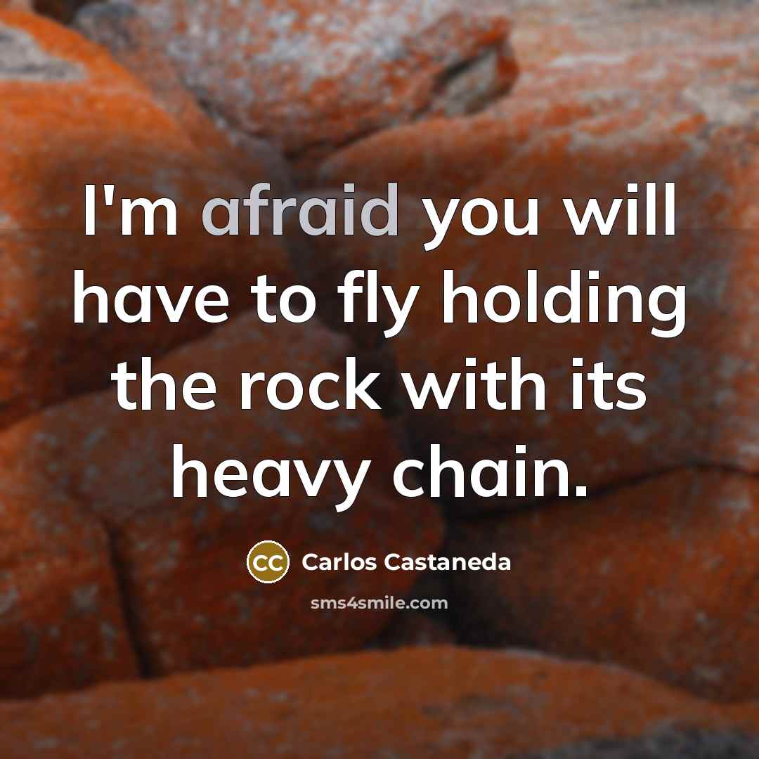 “I'm afraid you will have to fly holding the rock…” quote by Carlos Castaneda