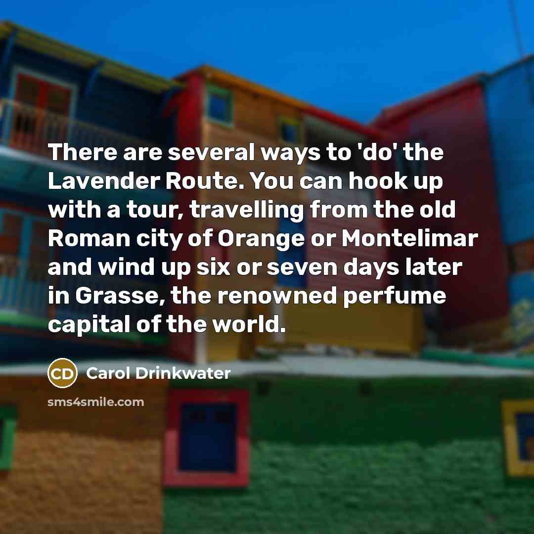 “There are several ways to 'do' the Lavender Route. You…” quote by Carol Drinkwater