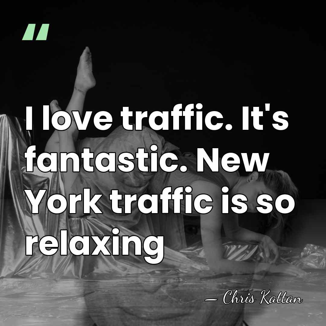 I love traffic. It's fantastic. New York traffic is so relaxing - Chris Kattan