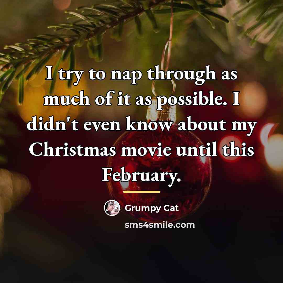 “I try to nap through as much of it as…” quote by Grumpy Cat