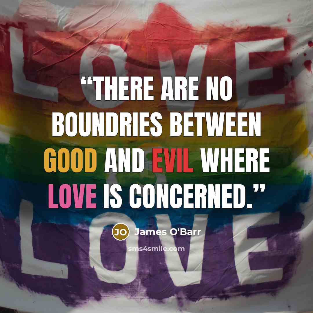 “There are no boundries between good and evil where love is concerned.” quote by James O'Barr