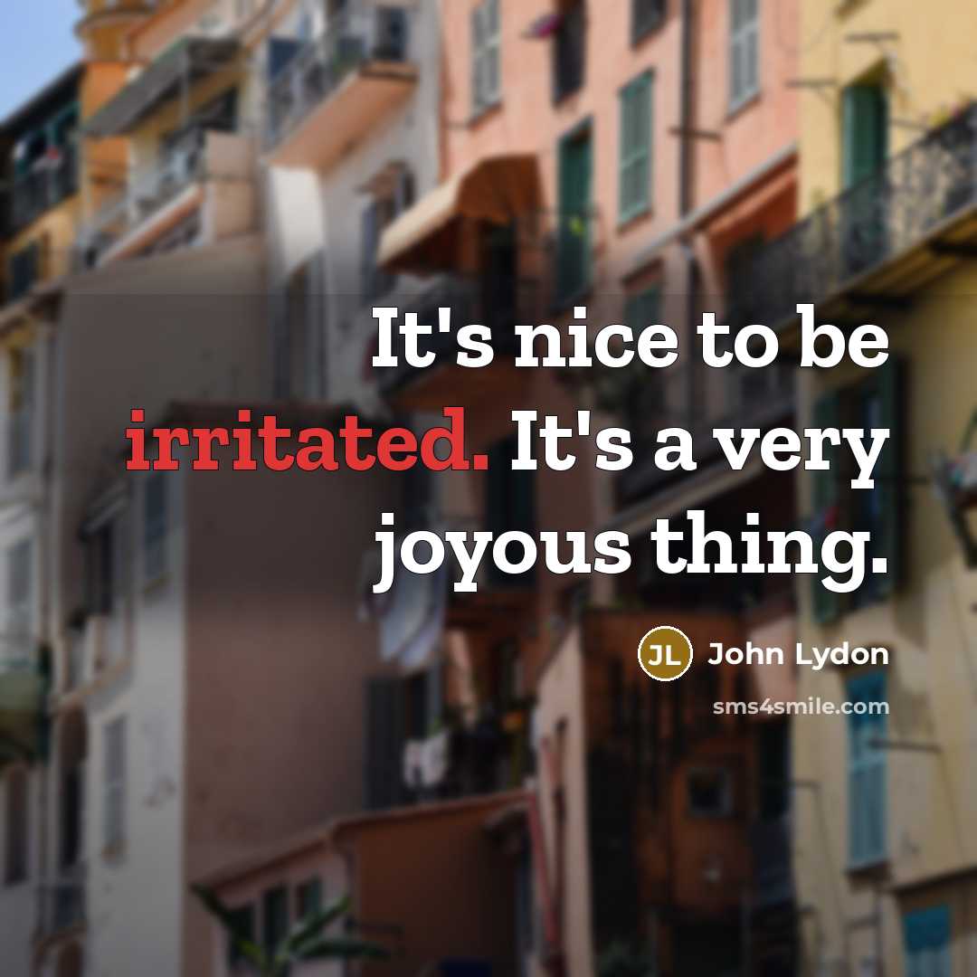 “It's nice to be irritated. It's a very joyous thing.…” quote by John Lydon
