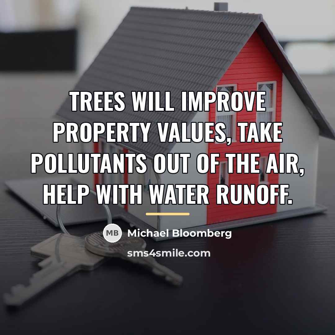 “Trees will improve property values, take pollutants out of the…” quote by Michael Bloomberg