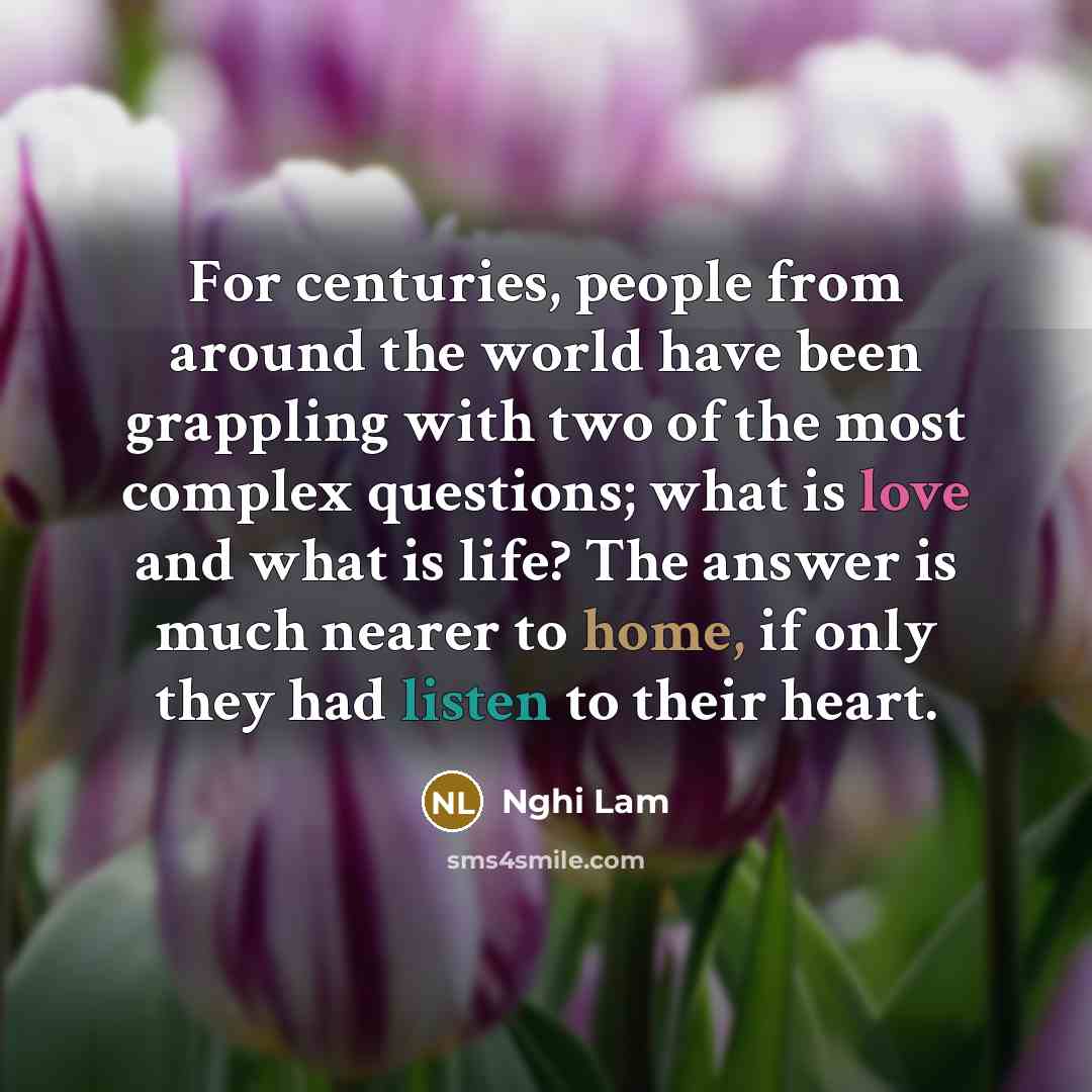 “For centuries, people from around the world have been grappling…” quote by Nghi Lam