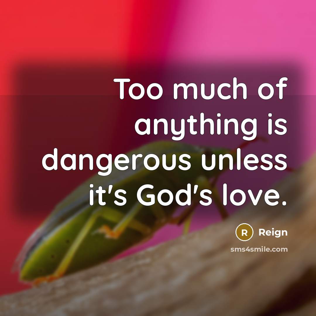 “Too much of anything is dangerous unless it's God's love.…” quote by Reign