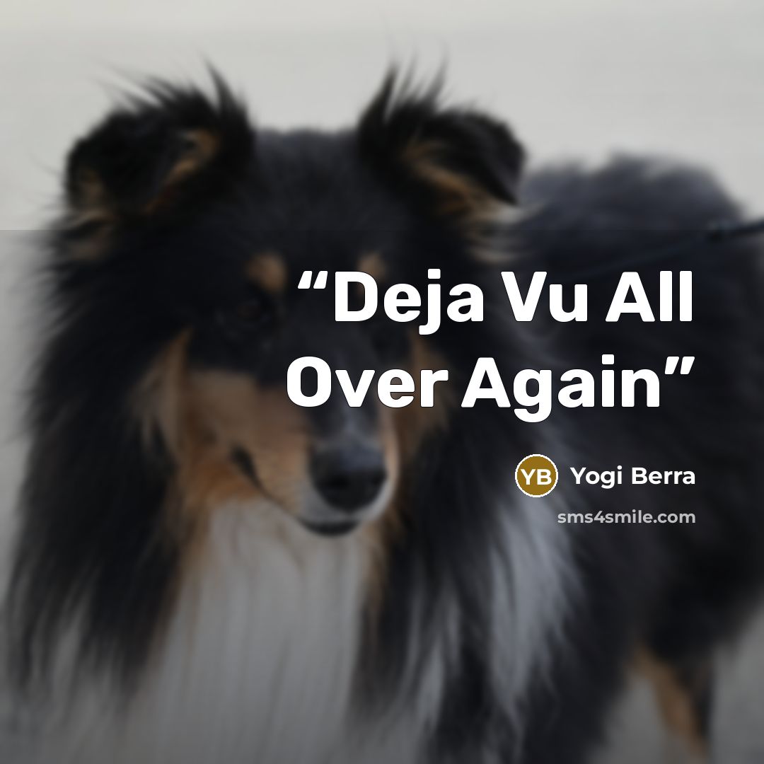 “Deja Vu All Over Again” quote by Yogi Berra