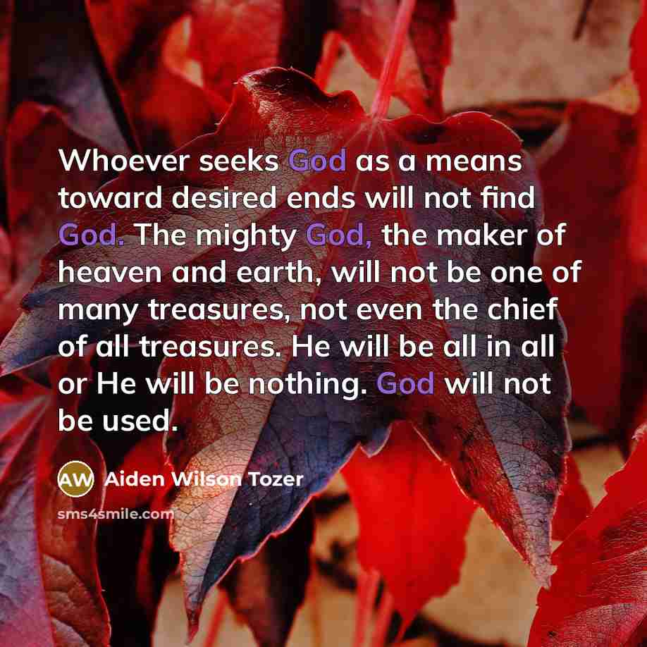“Whoever seeks God as a means toward desired ends will…” quote by Aiden Wilson Tozer