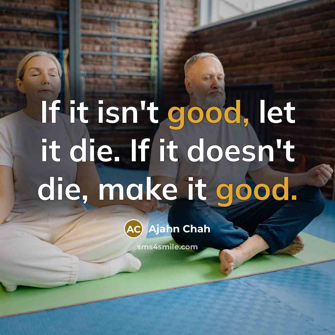 “If it isn't good, let it die. If it doesn't…” quote by Ajahn Chah