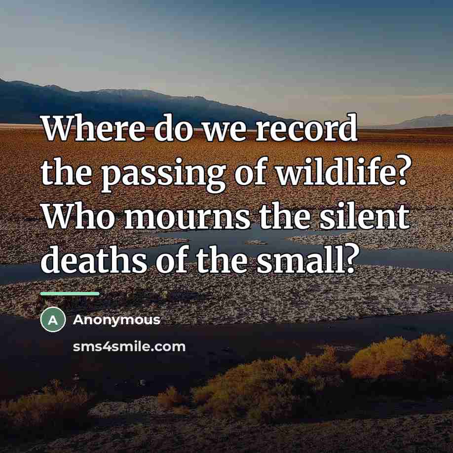 “Where do we record the passing of wildlife? Who mourns…” quote by Anonymous