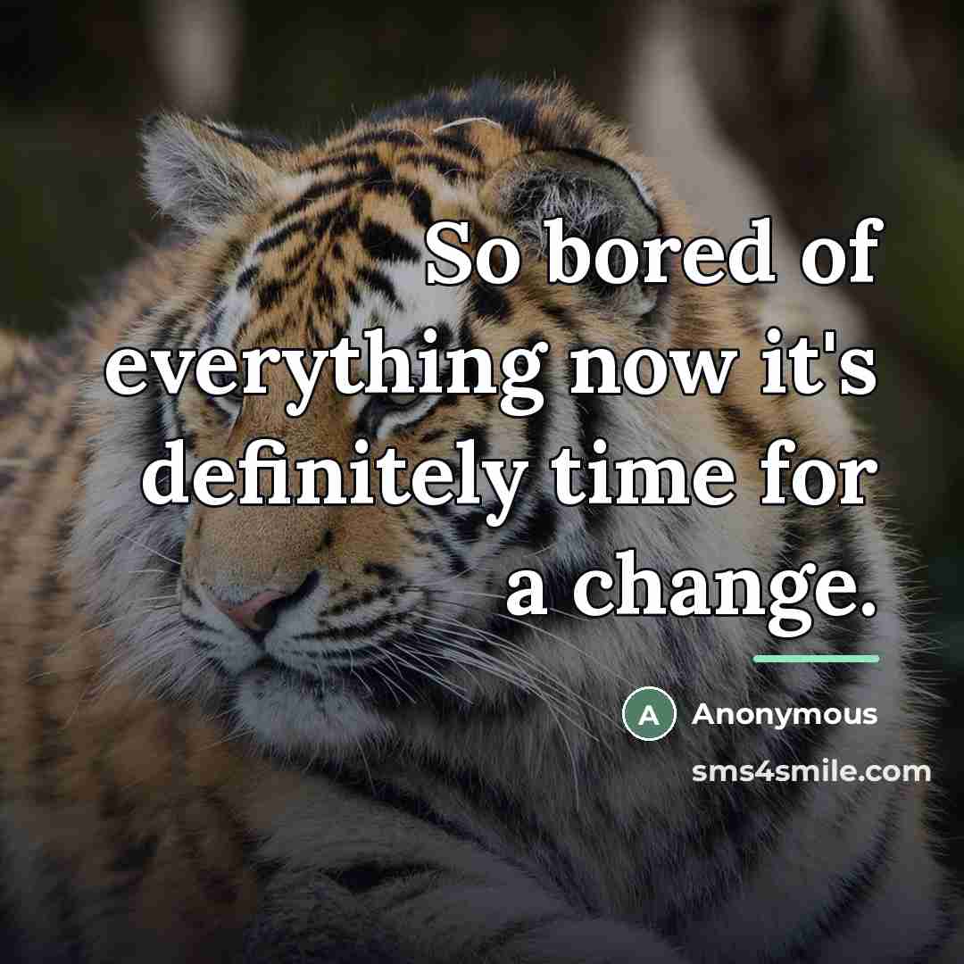 “So bored of everything now it's definitely time for a…” quote by Anonymous